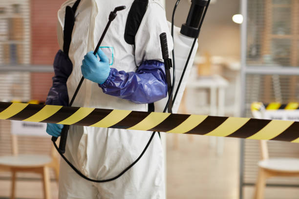 Professional Sewage Cleanup technician working in Pacific Grove, CA
